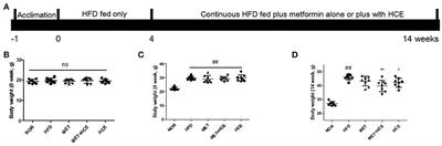 Pharmaceutical Impact of Houttuynia Cordata and Metformin Combination on High-Fat-Diet-Induced Metabolic Disorders: Link to Intestinal Microbiota and Metabolic Endotoxemia